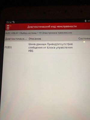 IMG_6520.jpeg