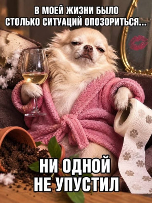 IMG_4910.JPG