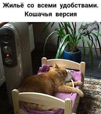 IMG_5007.JPG