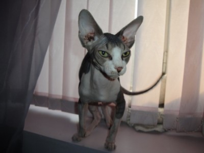 DSC00863.JPG