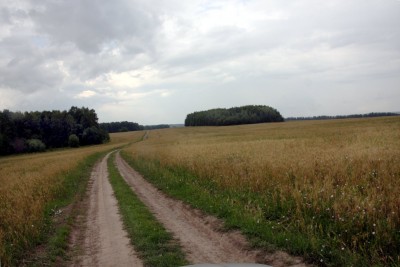IMG_1527.jpg