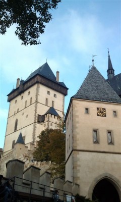 IMAGE_386.jpg