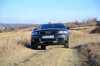 D7S_4169.JPG