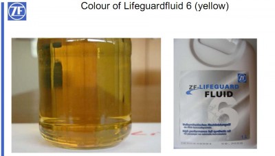 LifeguardFluid 6