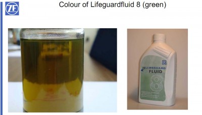 LifeguardFluid 8