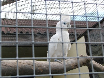 IMG_2967.JPG