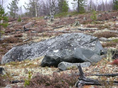 DSCN3043.jpg