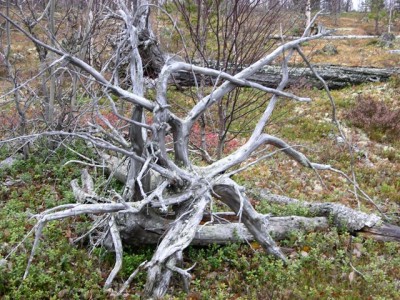 DSCN3055.jpg