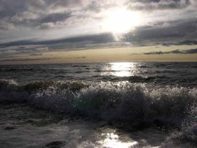 DSCN3074.jpg