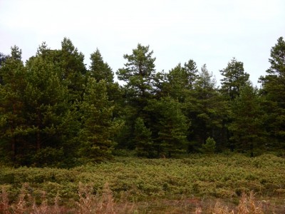 DSCN3093.jpg