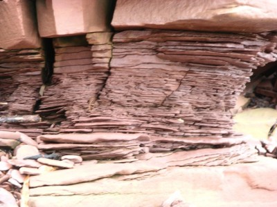 DSCN3124.jpg
