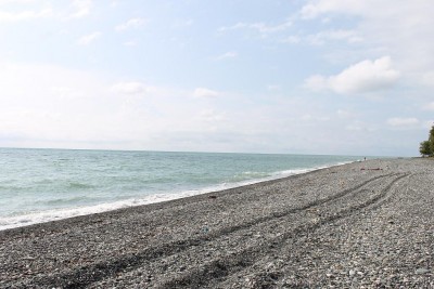 IMG_6541.JPG