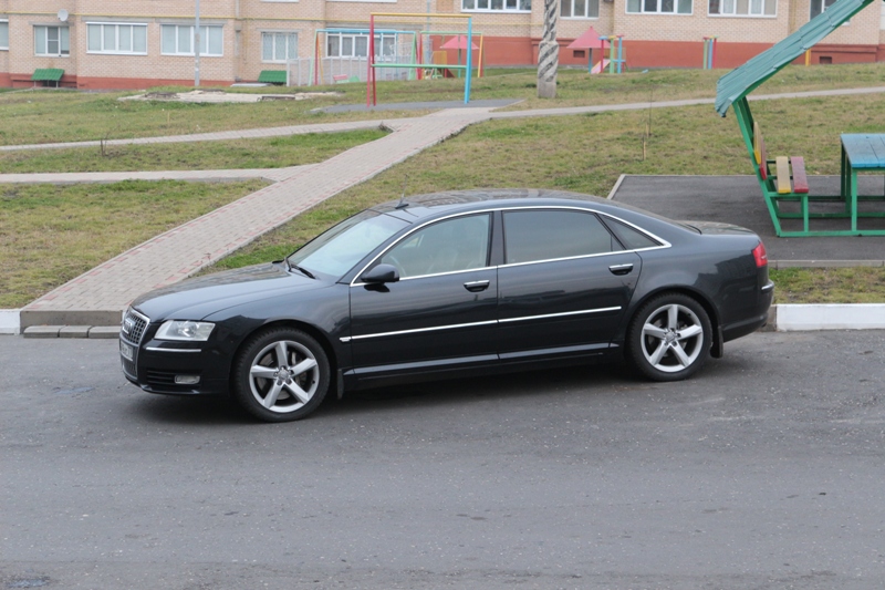 Длиннющая , ну чем не такса...