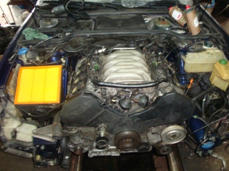 DSC09335.JPG