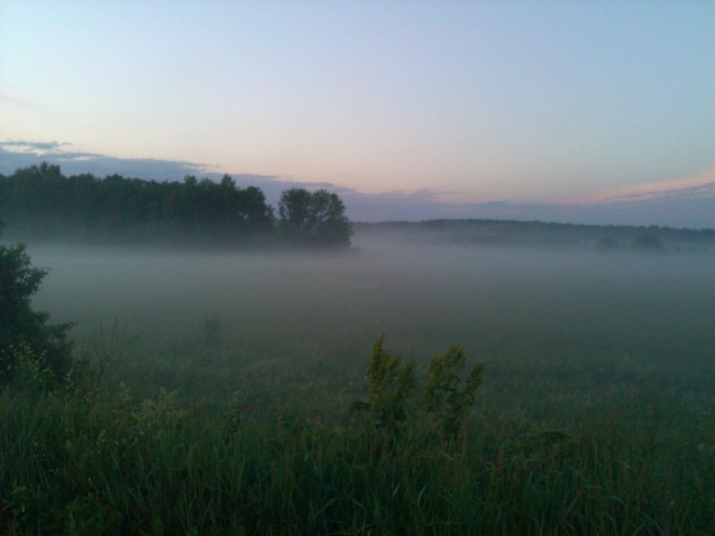 IMG_20150617_210927.jpg