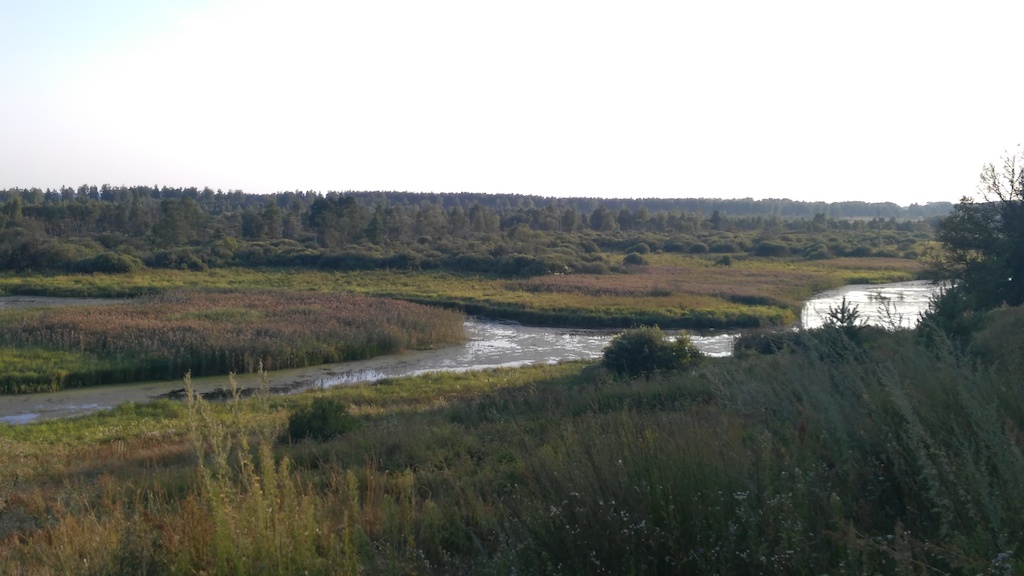 IMG_20150807_190936.jpg