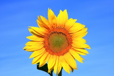 IMG_5151мини.jpg