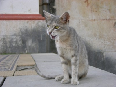 DSCN3292.JPG
