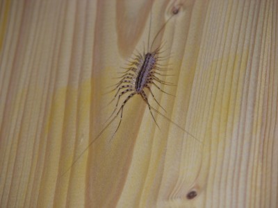 DSCN3513.JPG