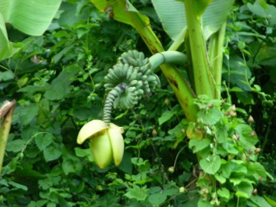 DSCN3703.JPG